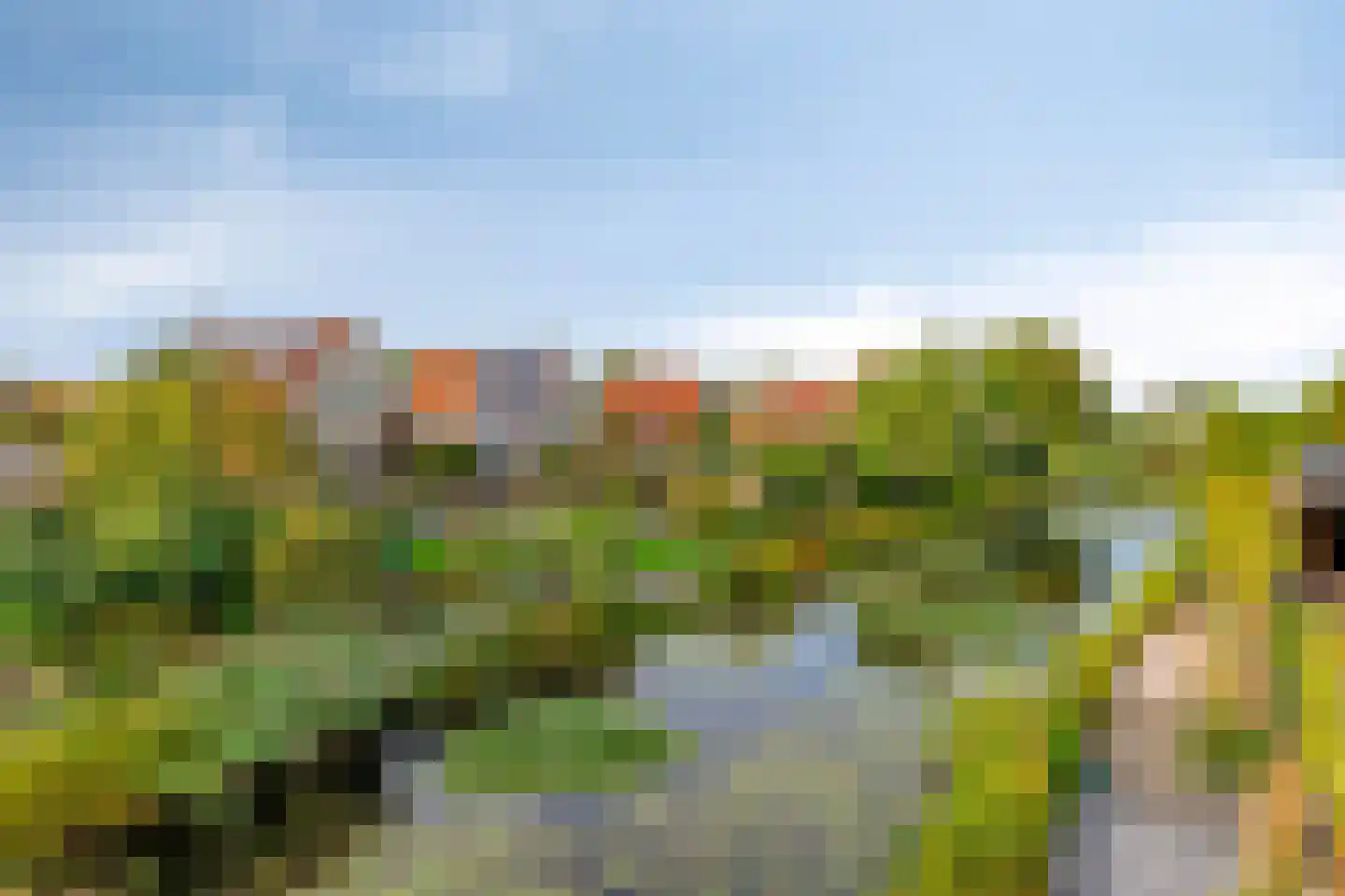 de Terp 5 Sneek thumbnail 35