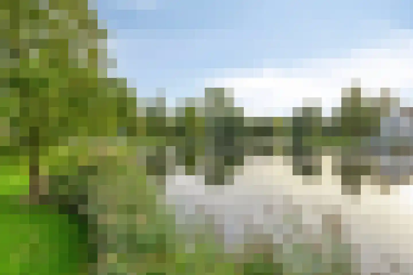 de Terp 5 Sneek thumbnail 38