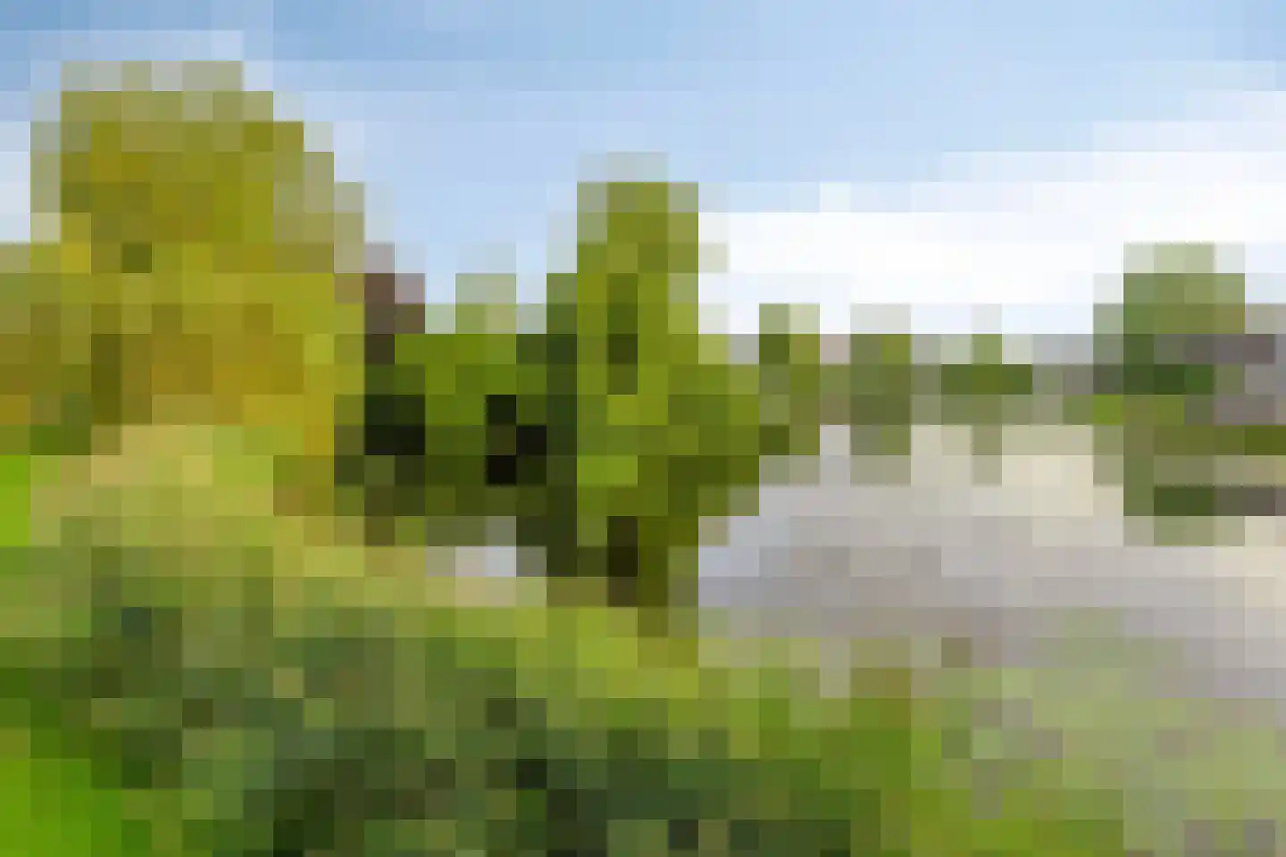 de Terp 5 Sneek thumbnail 40