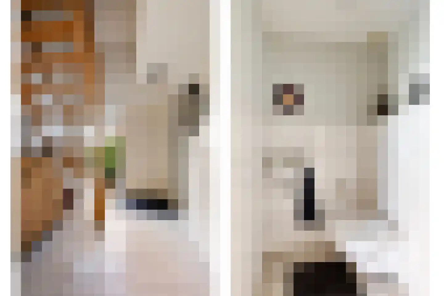 de Terp 5 Sneek thumbnail 9