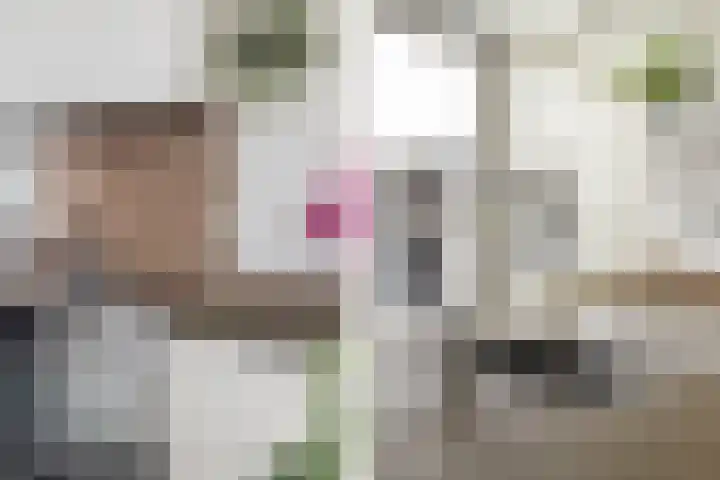 De Terp 5 Uitgeest thumbnail 10