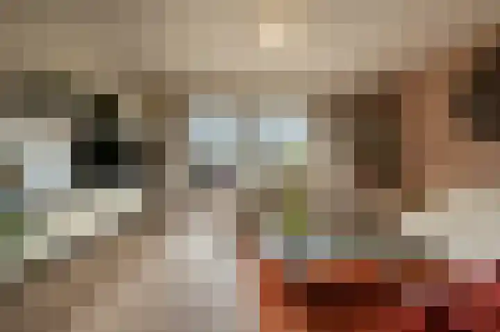 De Terp 5 Uitgeest thumbnail 13