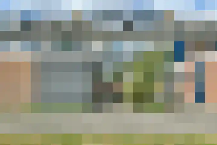 De Terp 5 Uitgeest thumbnail 15