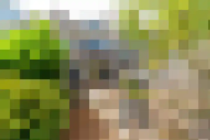 De Terp 5 Uitgeest thumbnail 17