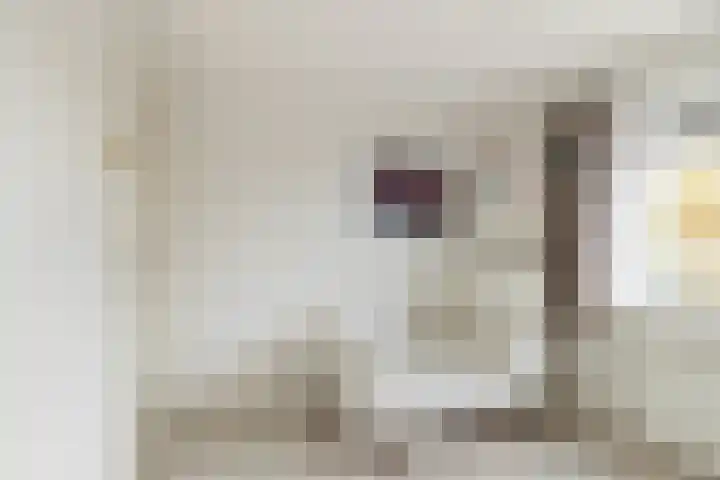 De Terp 5 Uitgeest thumbnail 20