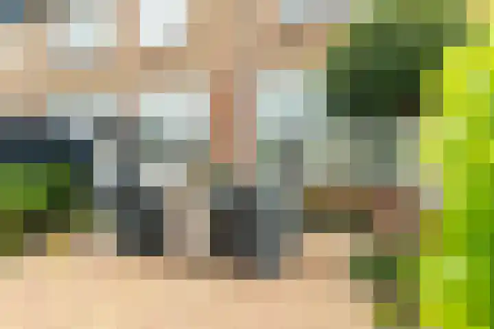 De Terp 5 Uitgeest thumbnail 24