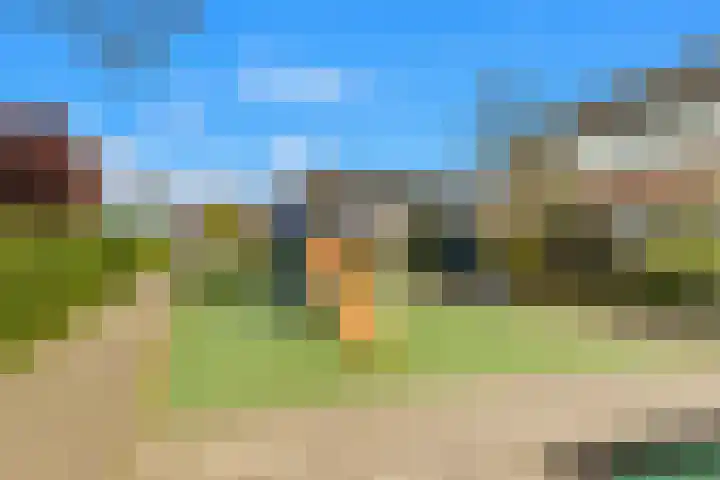De Terp 5 Uitgeest thumbnail 26