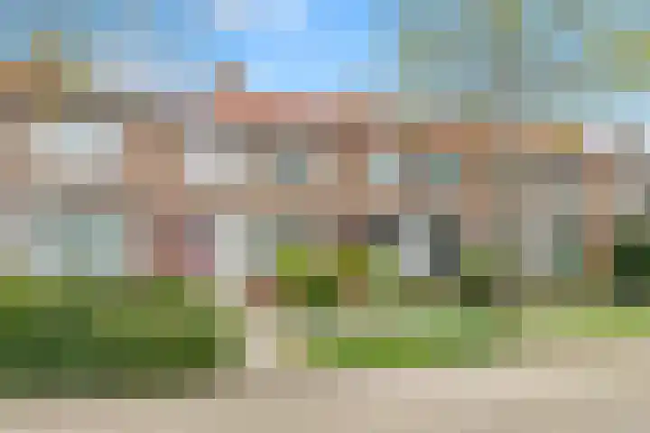 De Terp 5 Uitgeest thumbnail 28