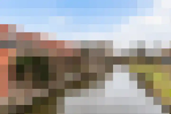 De Terp 5 Uitgeest thumbnail 31