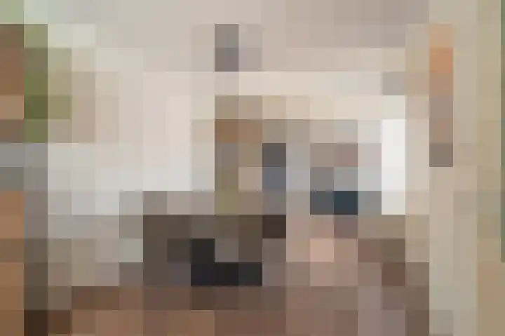 De Terp 5 Uitgeest thumbnail 35
