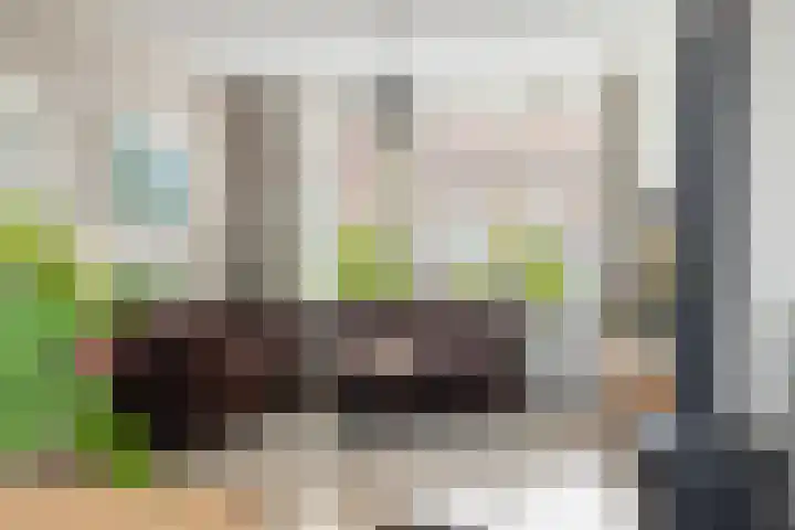 De Terp 5 Uitgeest thumbnail 4