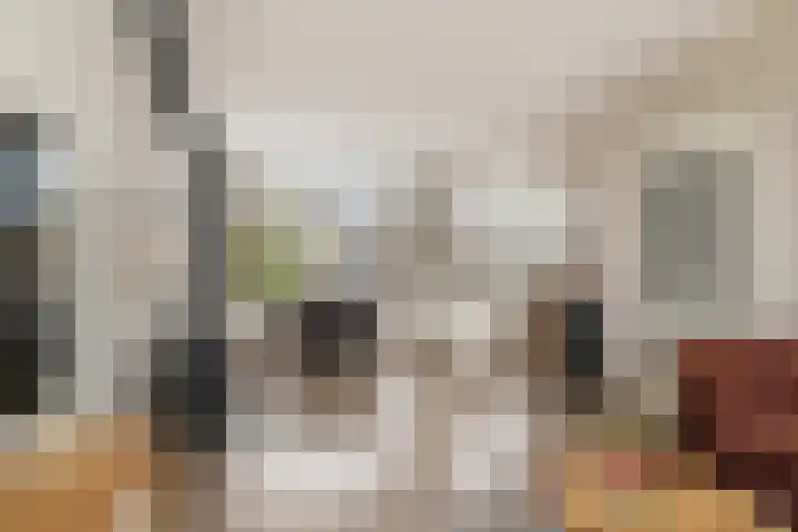 De Terp 5 Uitgeest thumbnail 5