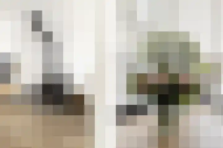 De Terp 5 Uitgeest thumbnail 7