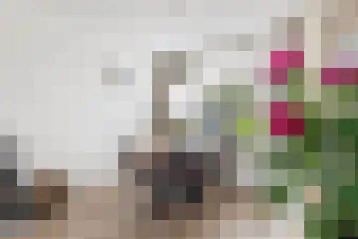 De Terp 5 Uitgeest thumbnail 8