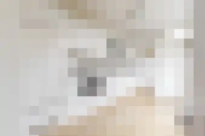 De Terp 57 Uitgeest thumbnail 12