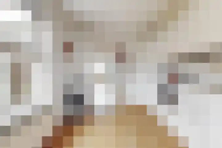 De Terp 57 Uitgeest thumbnail 14