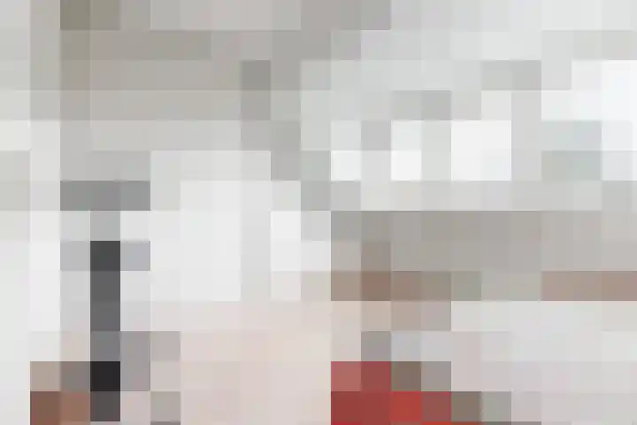 De Terp 57 Uitgeest thumbnail 20