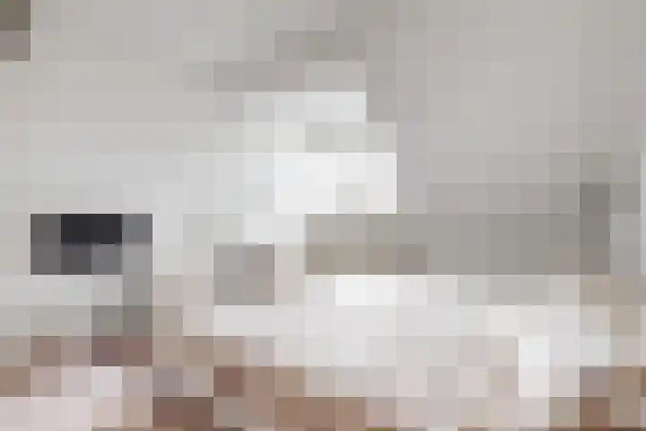De Terp 57 Uitgeest thumbnail 23