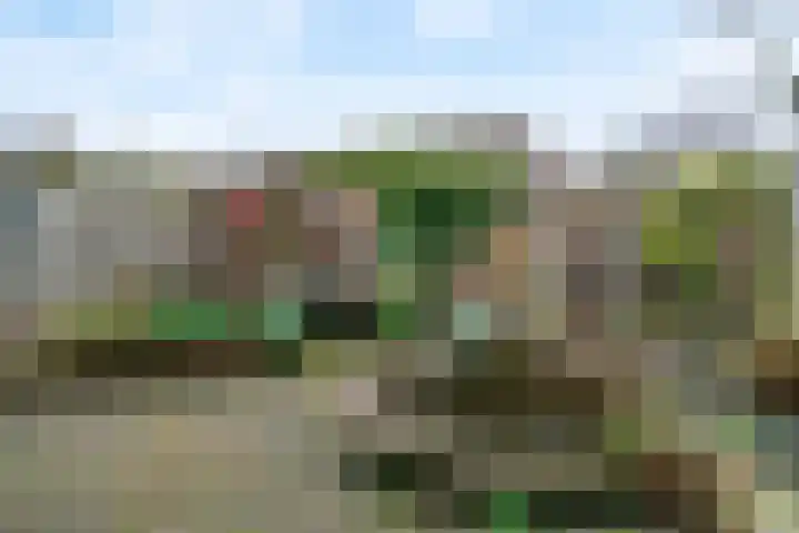 De Terp 57 Uitgeest thumbnail 27