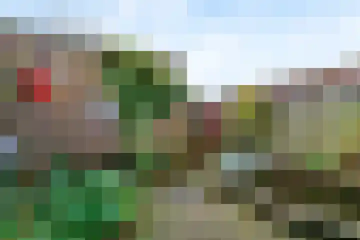 De Terp 57 Uitgeest thumbnail 28