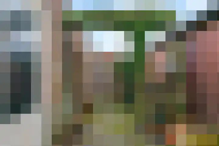 De Terp 57 Uitgeest thumbnail 29