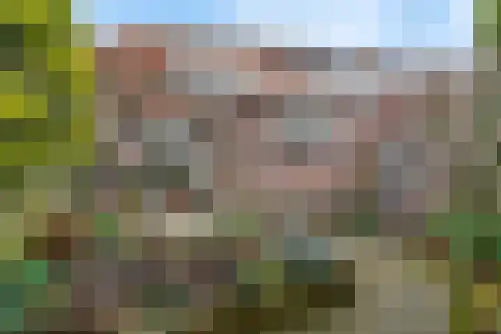 De Terp 57 Uitgeest thumbnail 30
