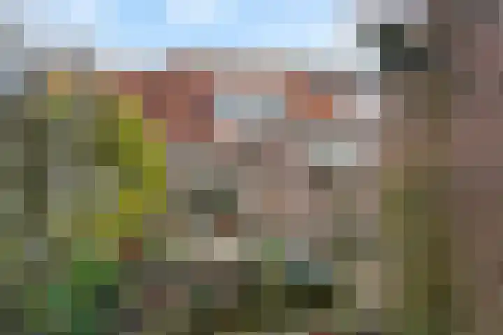De Terp 57 Uitgeest thumbnail 31
