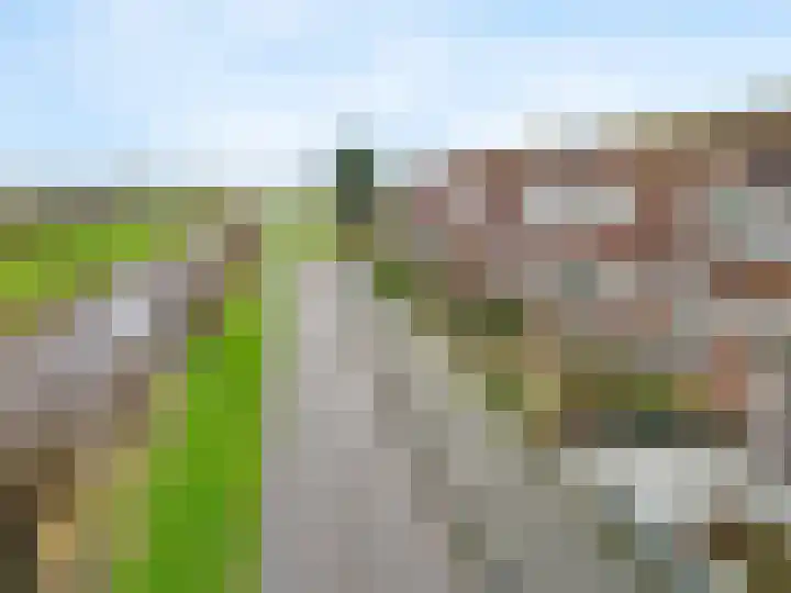 De Terp 57 Uitgeest thumbnail 39