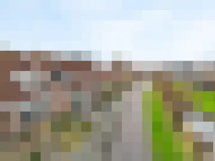 De Terp 57 Uitgeest thumbnail 40