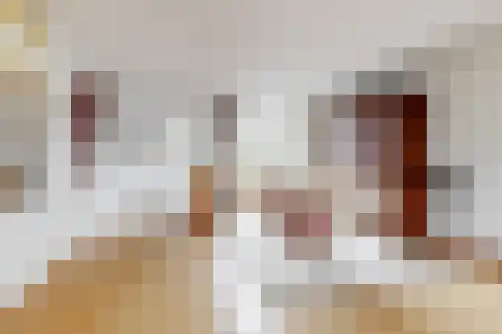 De Terp 57 Uitgeest thumbnail 8