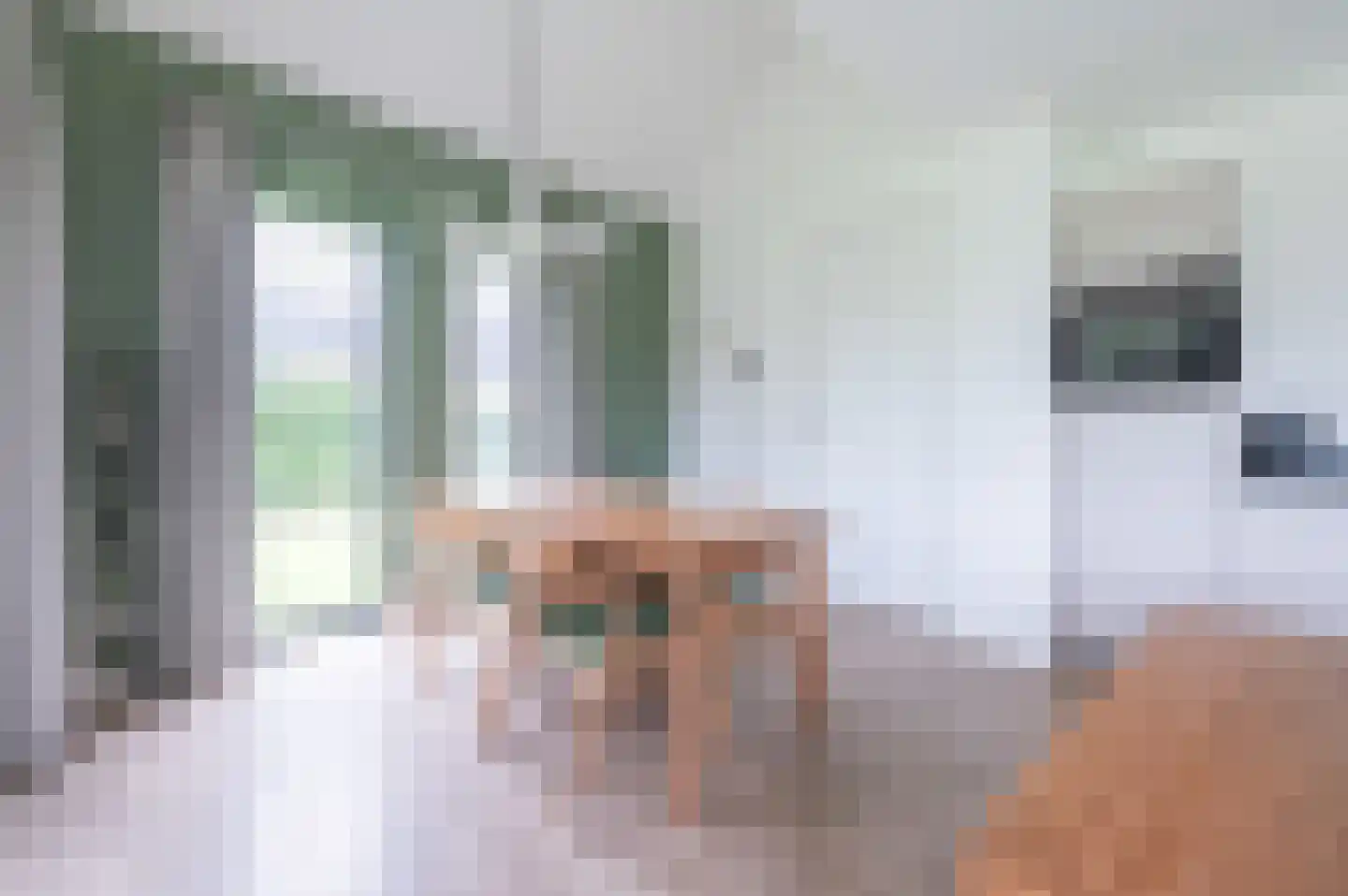 De Terp 58 Witmarsum thumbnail 10