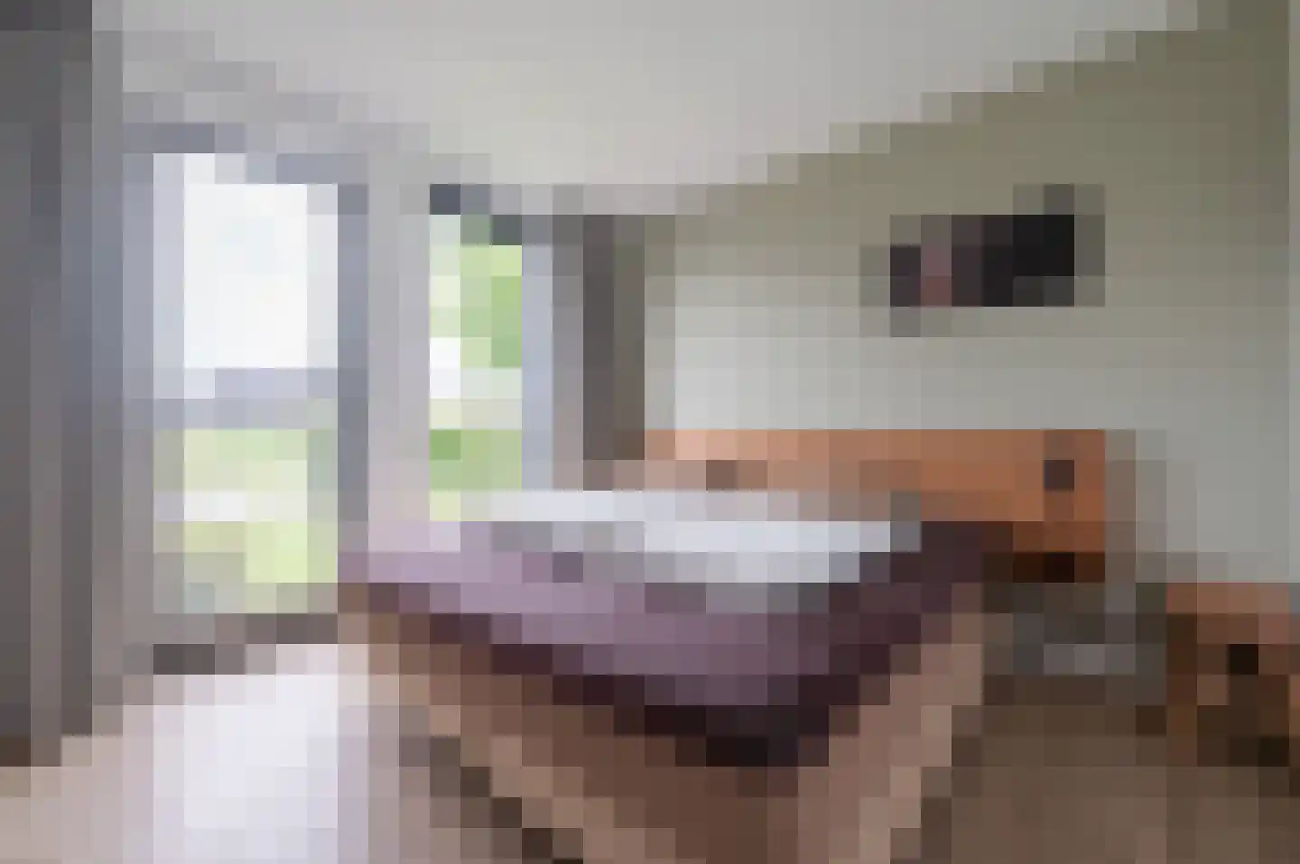 De Terp 58 Witmarsum thumbnail 15