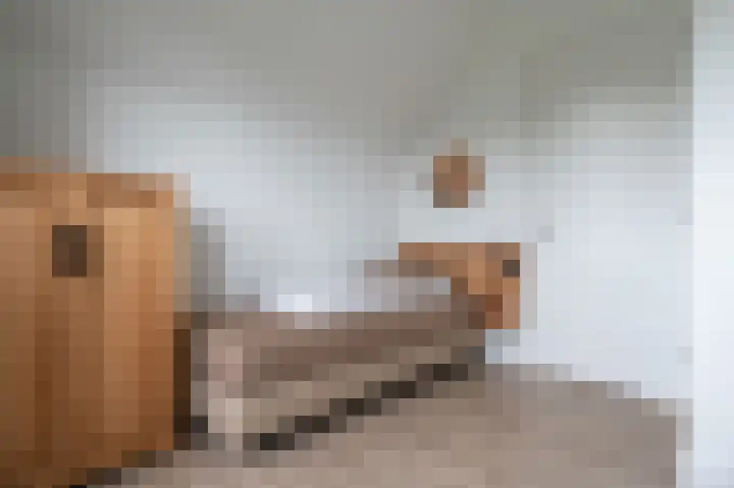 De Terp 58 Witmarsum thumbnail 23