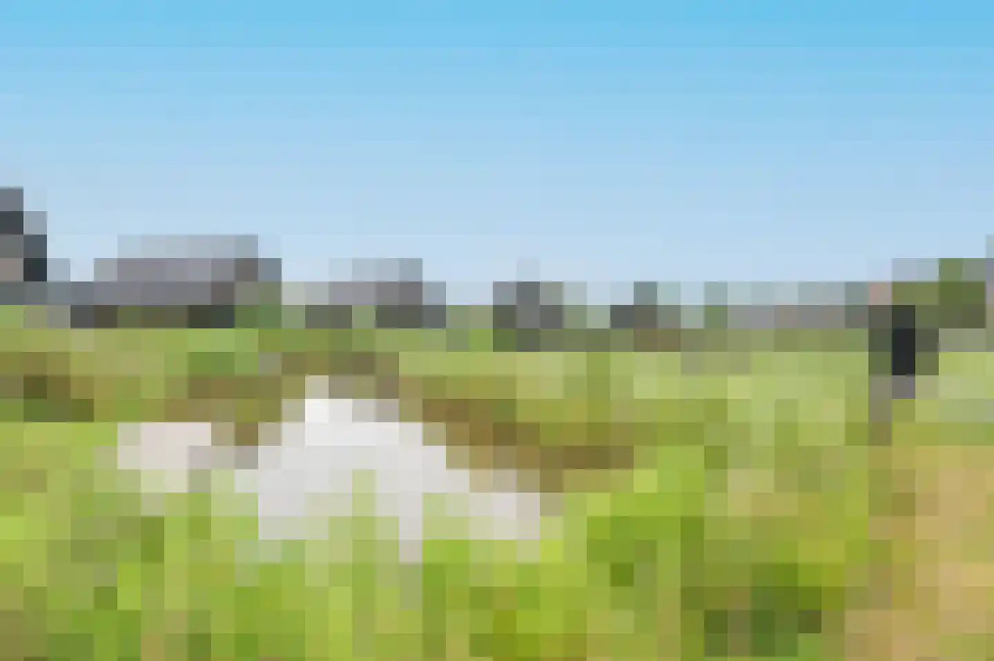 De Terp 58 Witmarsum thumbnail 38