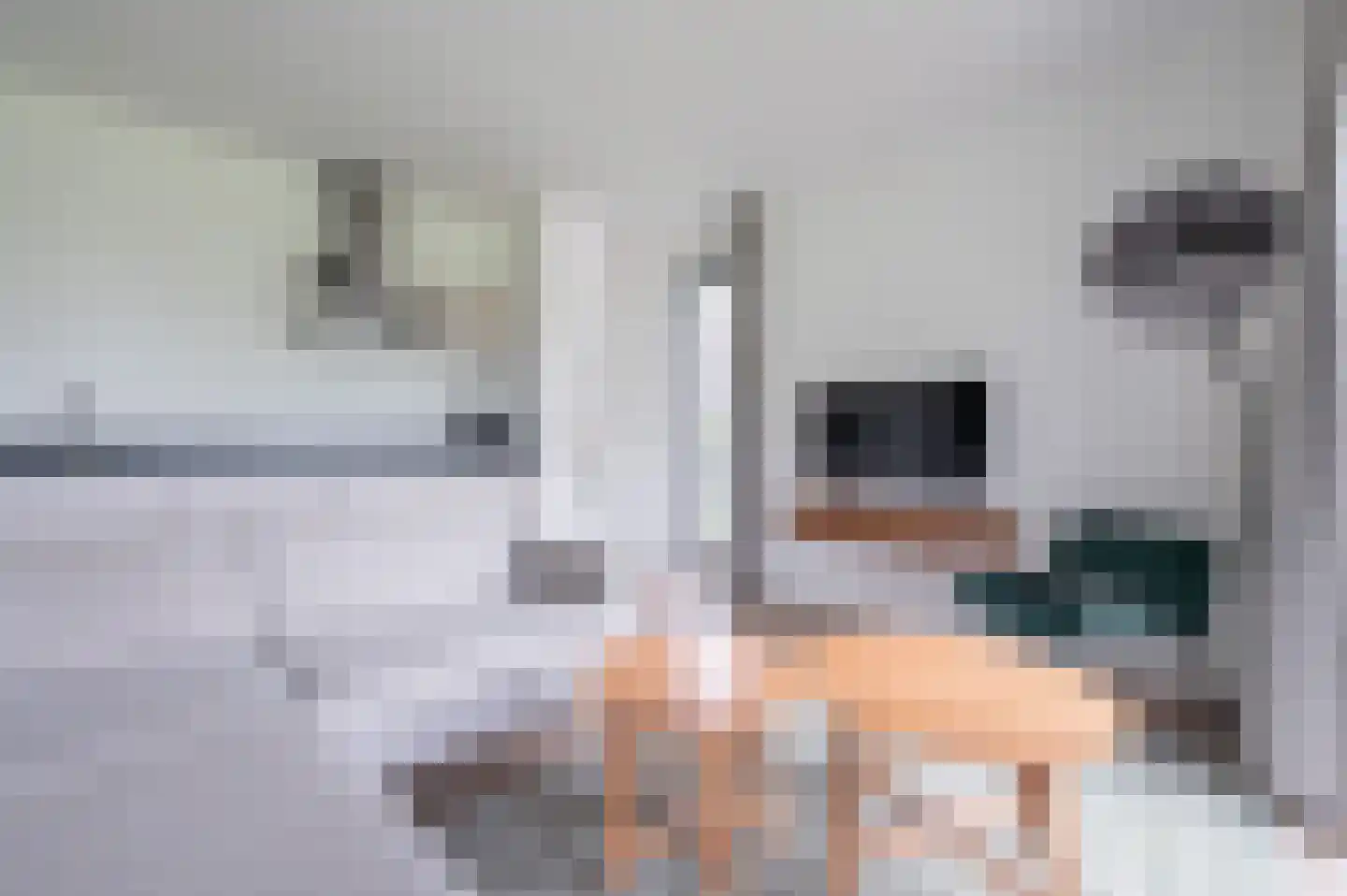 De Terp 58 Witmarsum thumbnail 4