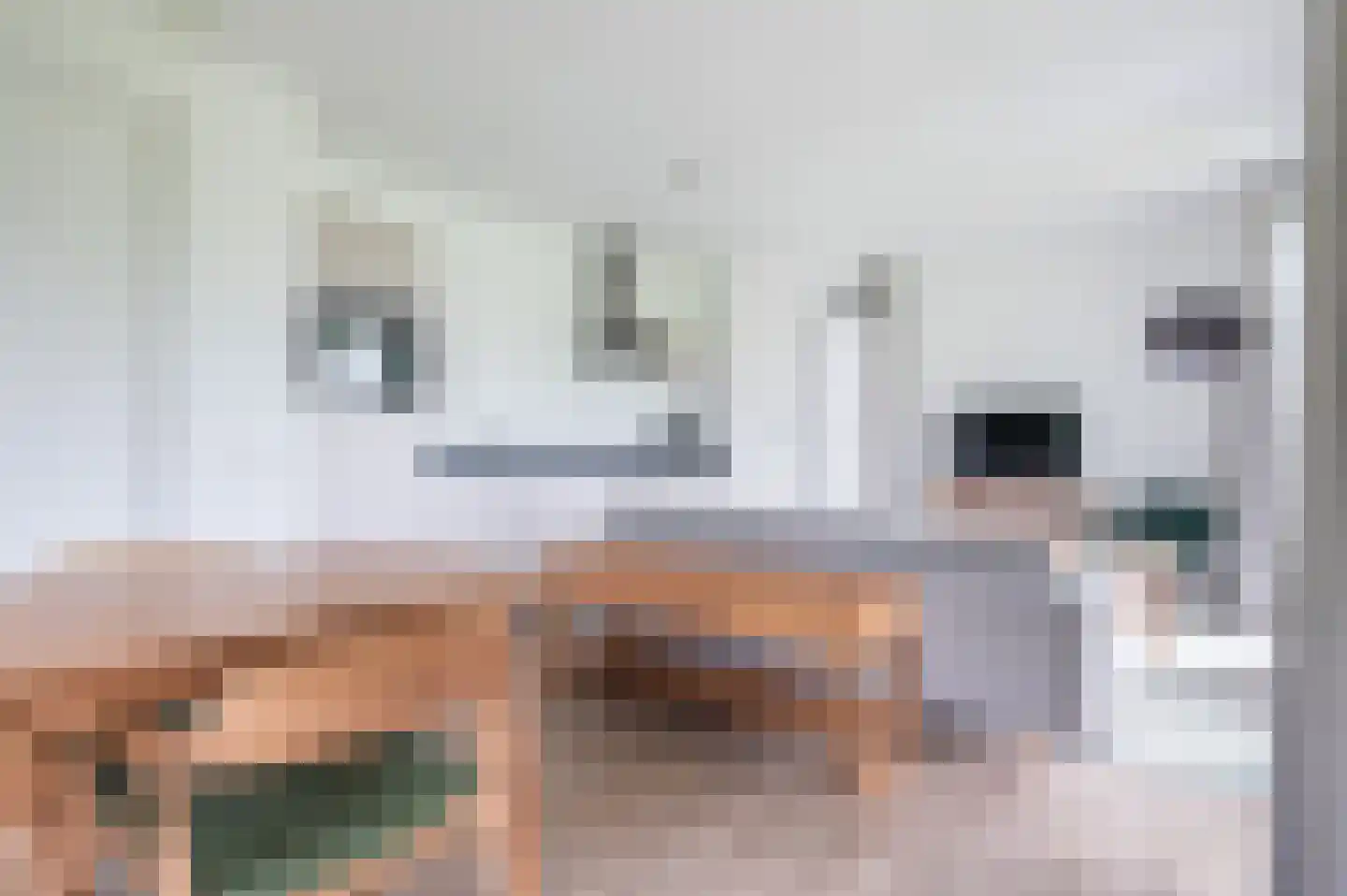 De Terp 58 Witmarsum thumbnail 6