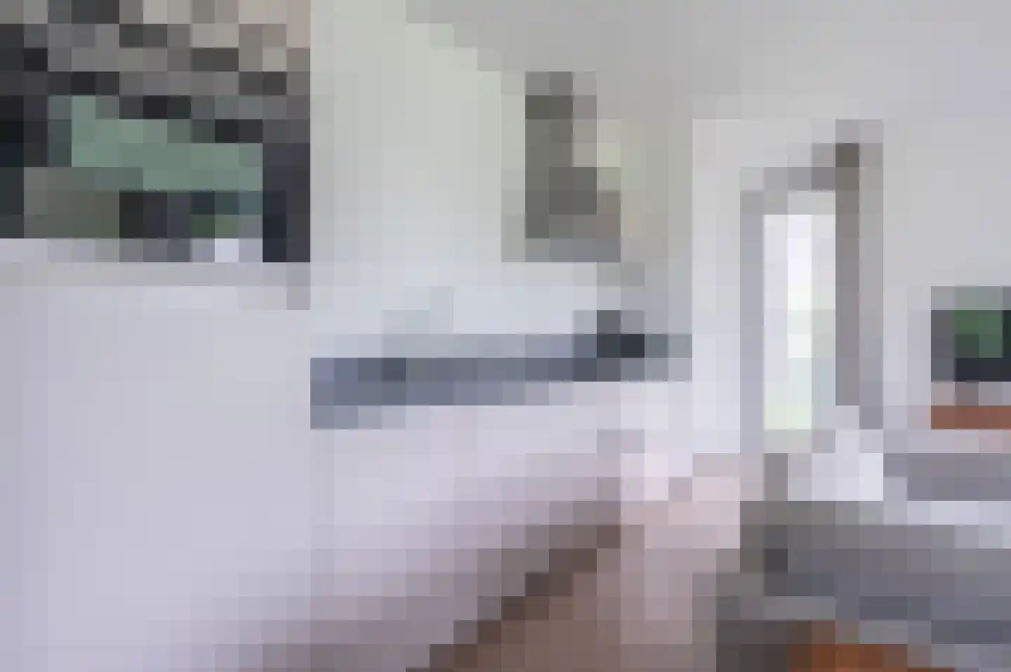 De Terp 58 Witmarsum thumbnail 8