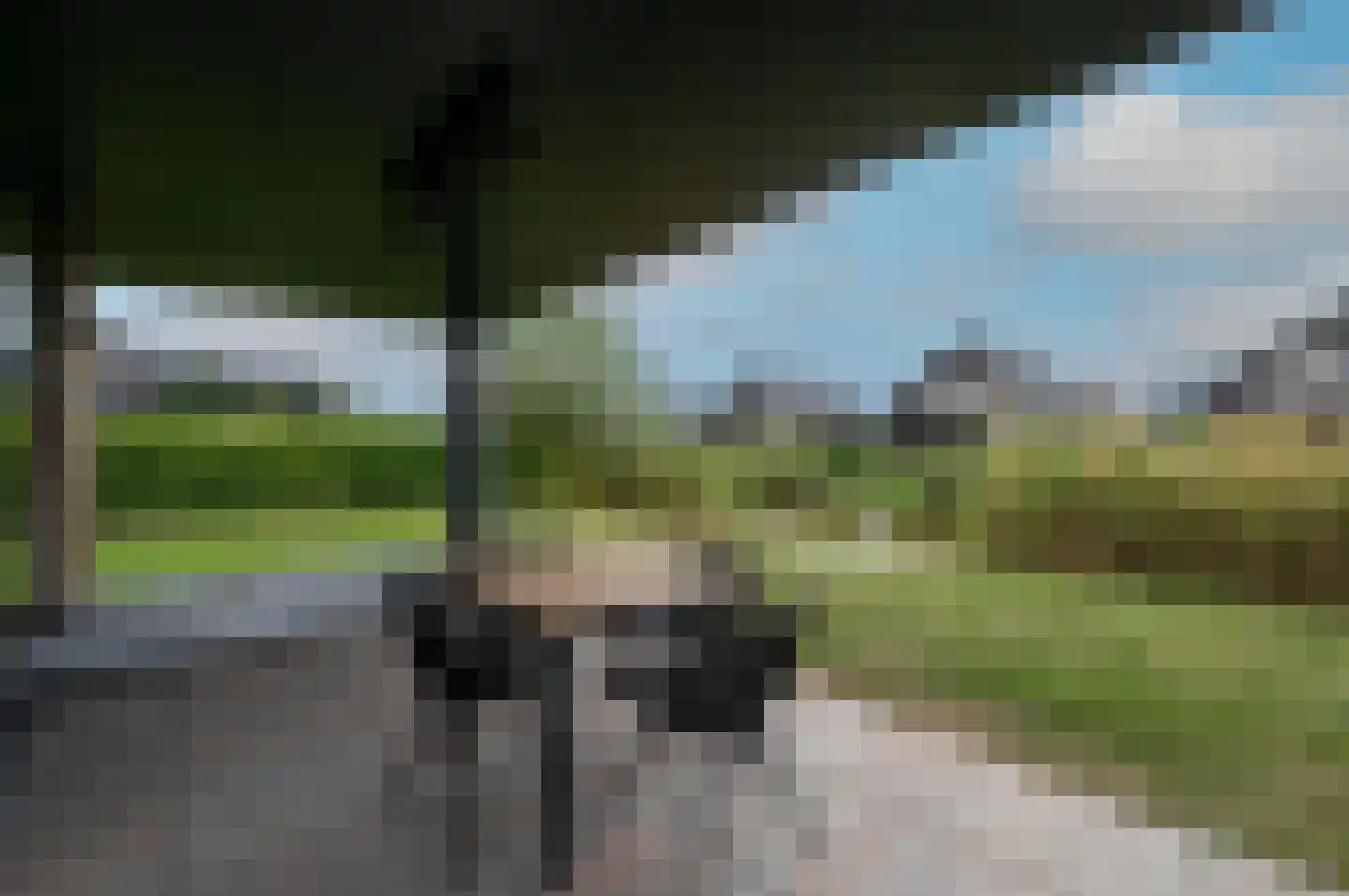 De Terp 59 59 Witmarsum thumbnail 26