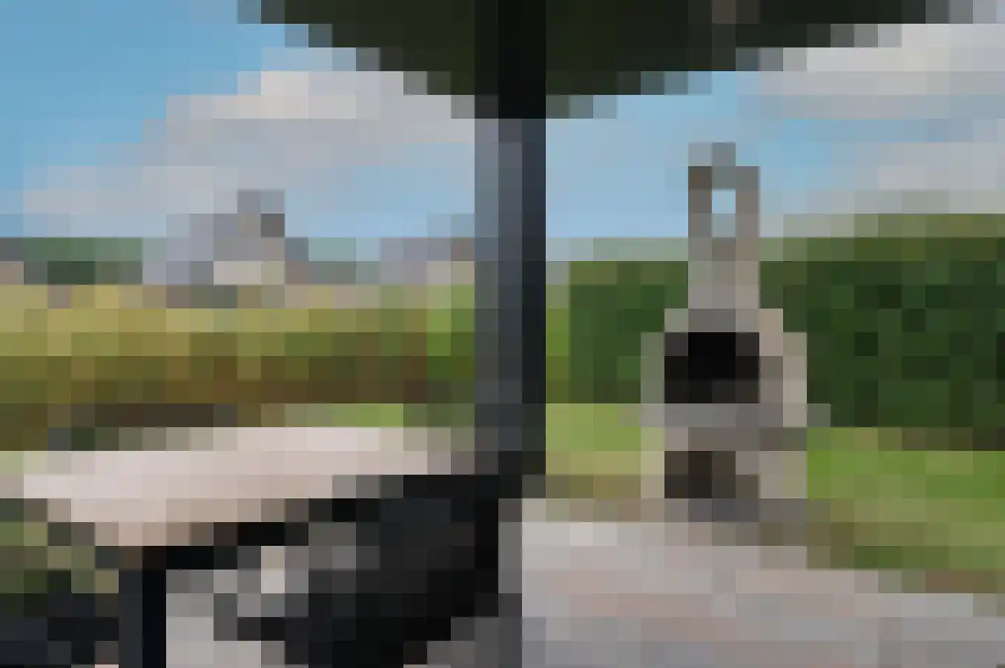 De Terp 59 59 Witmarsum thumbnail 26