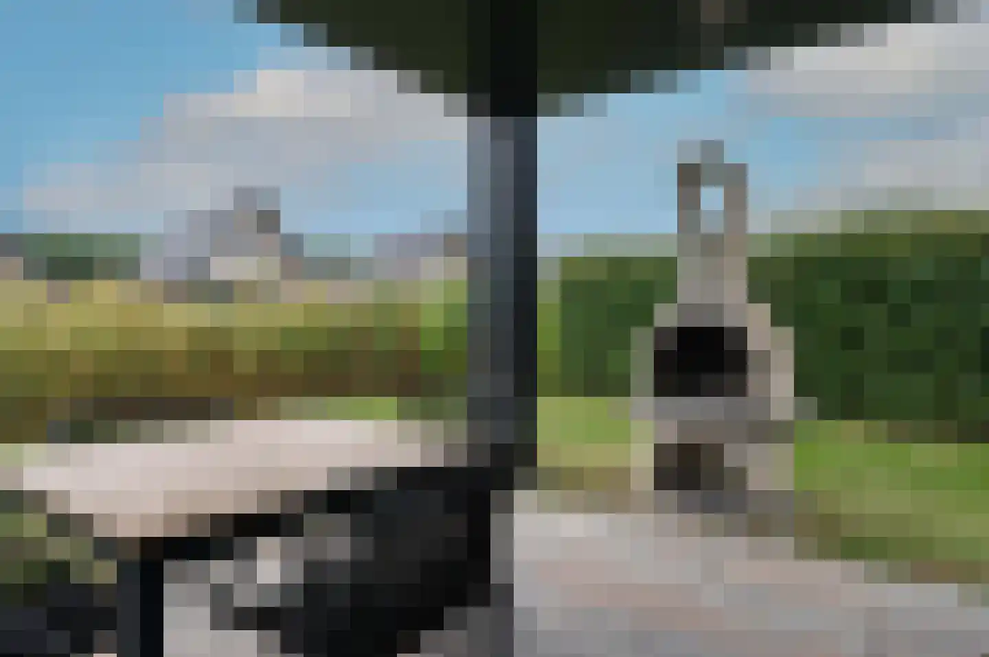 De Terp 59 59 Witmarsum thumbnail 27