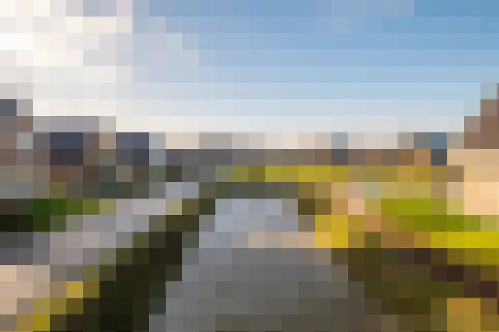 De Terp 64 Witmarsum thumbnail 13