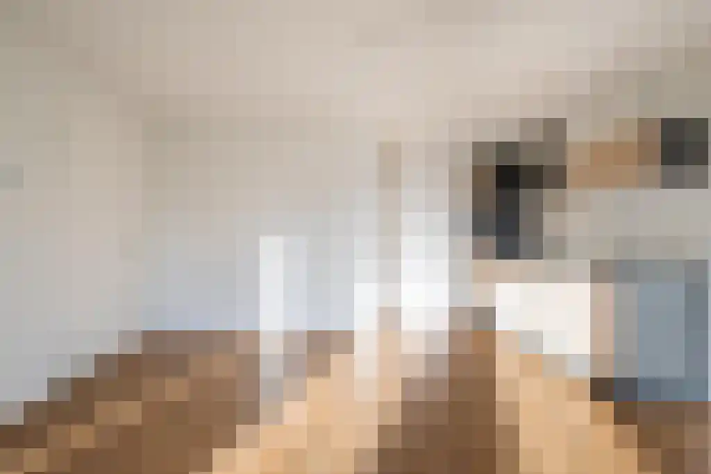 De Terp 64 Witmarsum thumbnail 21