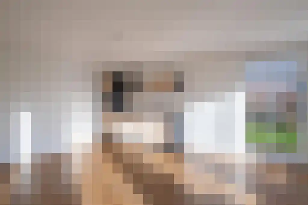 De Terp 64 Witmarsum thumbnail 22