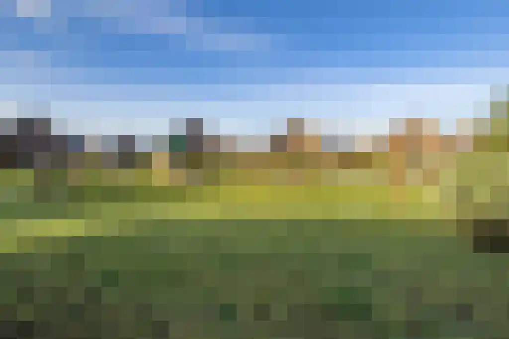 De Terp 64 Witmarsum thumbnail 52