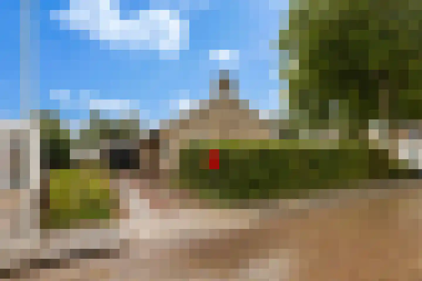 De Terp 7 Blije thumbnail 10