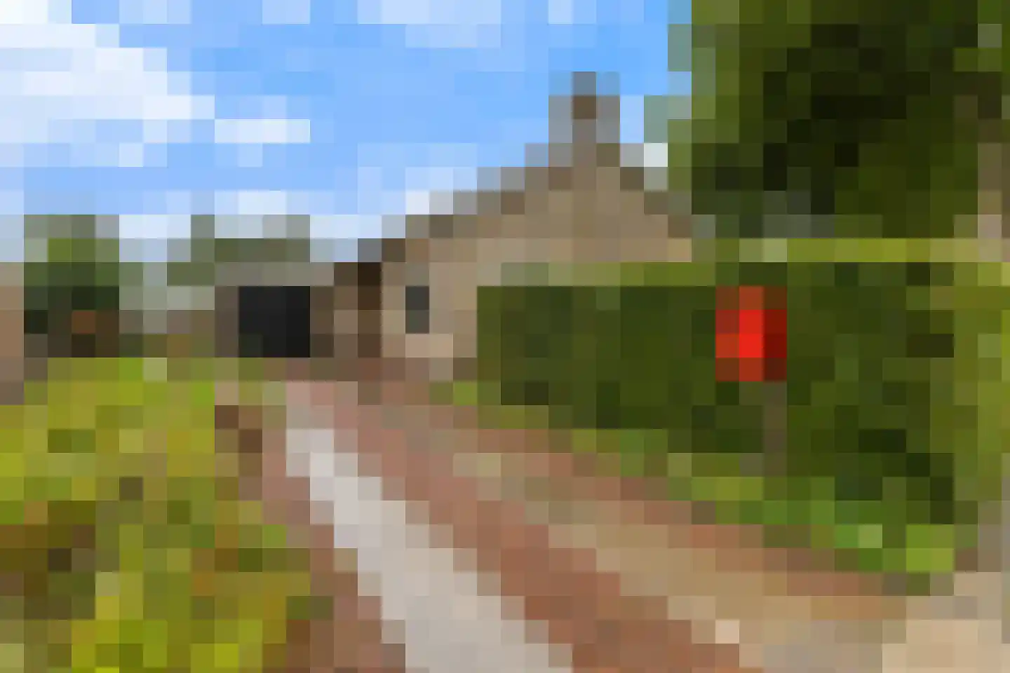 De Terp 7 Blije thumbnail 11