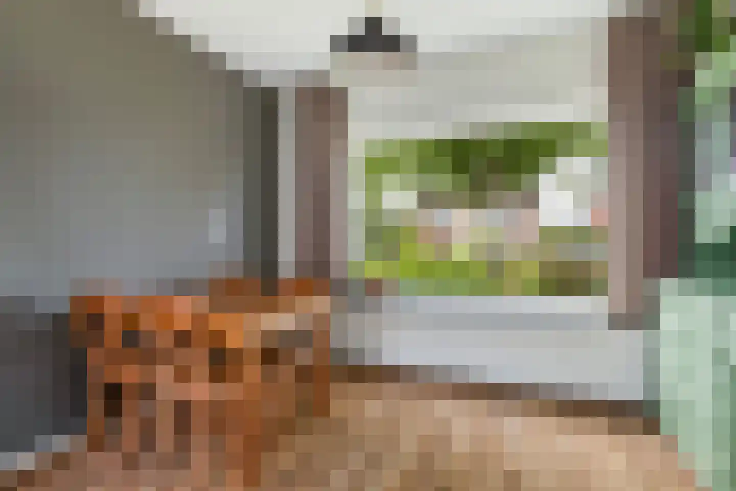 De Terp 7 Blije thumbnail 18