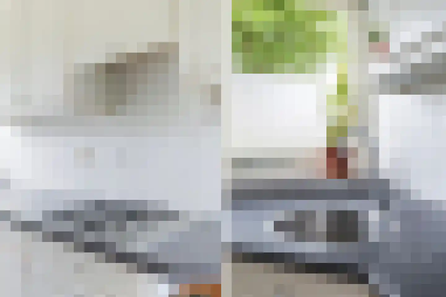 De Terp 7 Blije thumbnail 20