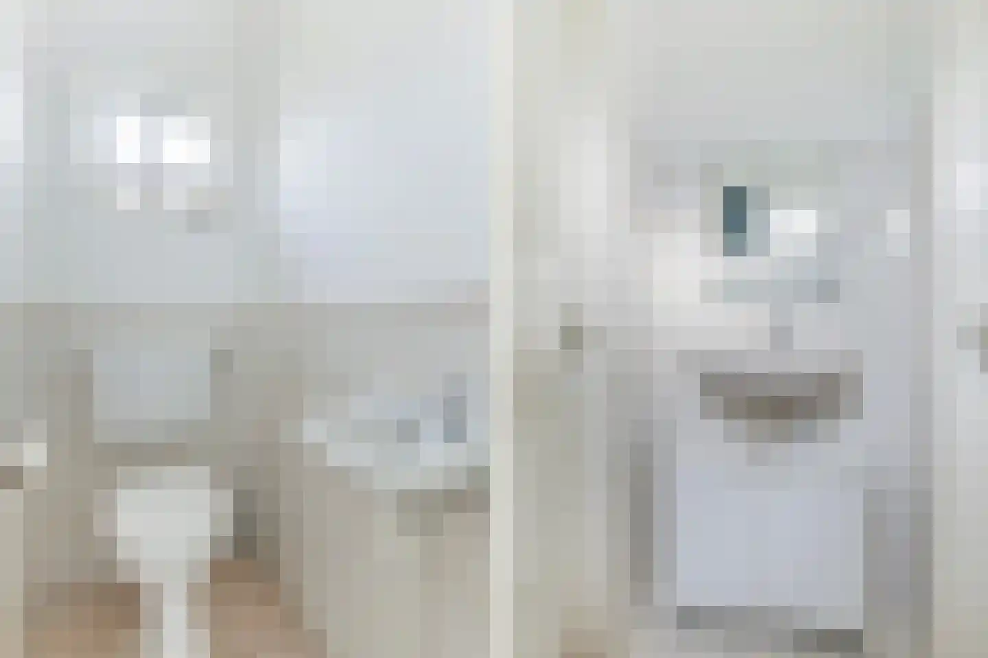 De Terp 7 Blije thumbnail 25