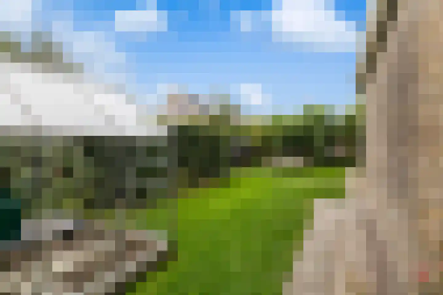 De Terp 7 Blije thumbnail 30